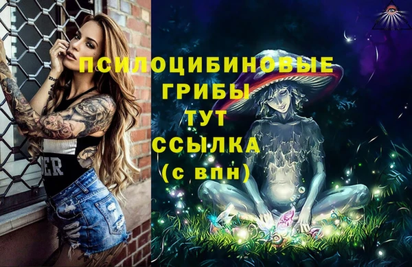PSILOCYBIN Абинск