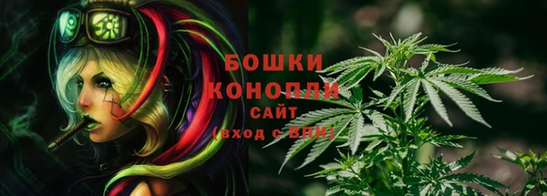 PSILOCYBIN Абинск