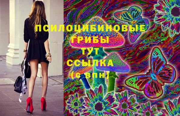 PSILOCYBIN Абинск