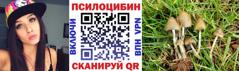 Псилоцибиновые грибы Magic Shrooms Тихорецк