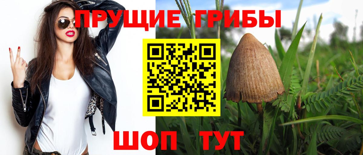 Галлюциногенные грибы Magic Shrooms Тихорецк